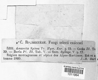 Image Associated With the Occurence